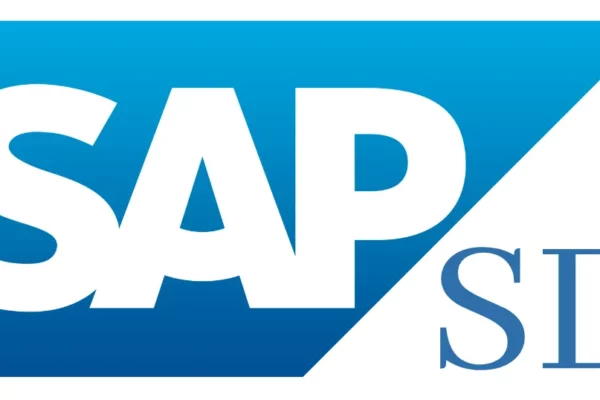 Driving Business Results Using SAP SD Tools